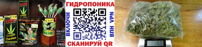 Купить закладки  Каменногорск  Cannafood конопля 