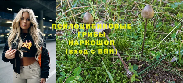 тгк Богданович