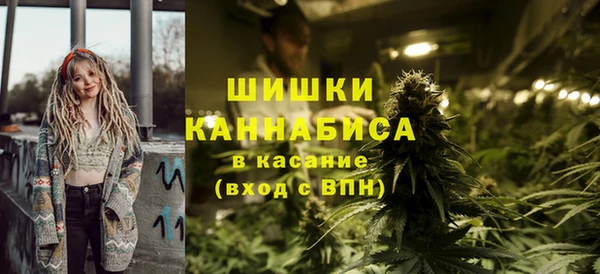 тгк Богданович