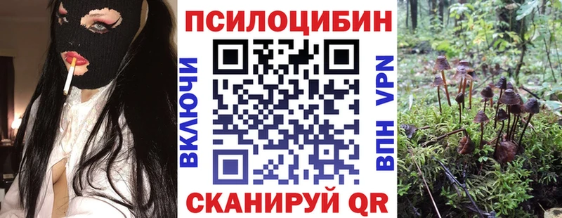 Псилоцибиновые грибы Psilocybine cubensis  Купить закладки  Каменногорск 